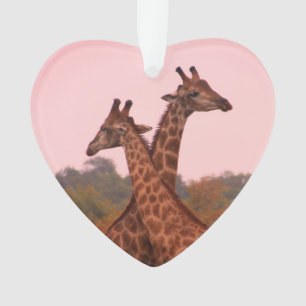Giraffen mit rosa Himmel Ornament