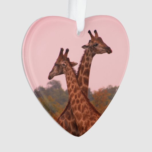 Giraffen mit rosa Himmel Ornament (Vorderseite)