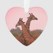 Giraffen mit rosa Himmel Ornament (Rückseite)