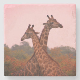 Giraffen mit rosa Himmel Steinuntersetzer