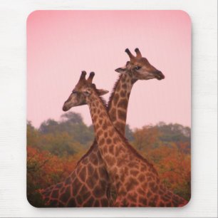 Giraffen Mousepad