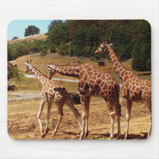Giraffen Mousepad (Vorne)