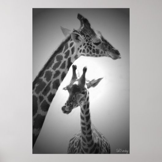 Giraffen, Mutter und Kind Poster (Vorne)