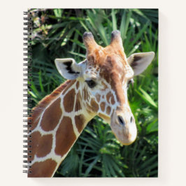 Giraffen-Notebook - 8.5 x 11, 8.5 x 8.5, oder Herz Notizblock