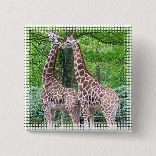 Giraffen-Paar-Quadrat-Button Button (Vorderseite)