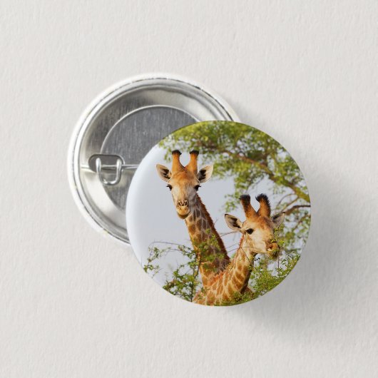 Giraffen Peeking über Vegetation Button (Vorne & Hinten)