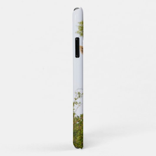 Giraffen Peeking über Vegetation Case-Mate iPhone Hülle (Hinten/Rechts)