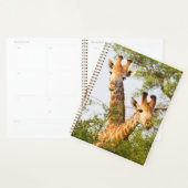 Giraffen Peeking über Vegetation Planer (Anzeige)