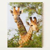 Giraffen Peeking über Vegetation Planer (Rückseite)