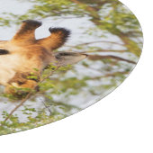 Giraffen Peeking über Vegetation Schneidebrett (Ecke)