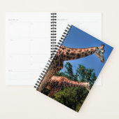 Giraffen Planer (Anzeige)