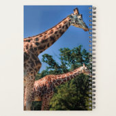 Giraffen Planer (Rückseite)