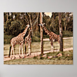 Giraffen Poster