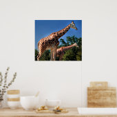 Giraffen Poster (Küche)