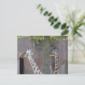 Giraffen Postkarte (Stehend Vorderseite)