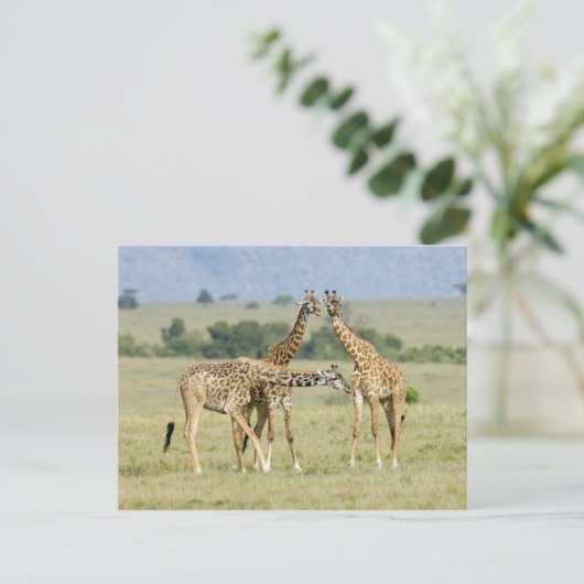 Giraffen Postkarte (Stehend Vorderseite)