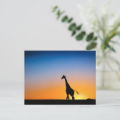 Giraffen Postkarte (Stehend Vorderseite)