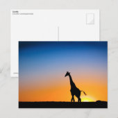 Giraffen Postkarte (Vorne/Hinten)