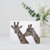 Giraffen Postkarte (Stehend Vorderseite)
