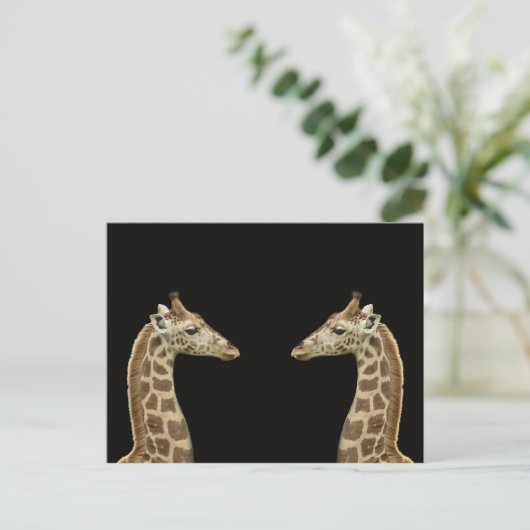 Giraffen Postkarte (Stehend Vorderseite)
