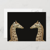 Giraffen Postkarte (Vorne/Hinten)