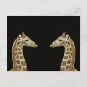 Giraffen Postkarte (Vorderseite)