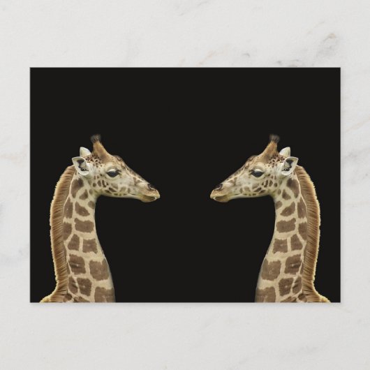 Giraffen Postkarte (Vorderseite)