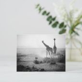 Giraffen Postkarte (Stehend Vorderseite)