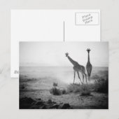 Giraffen Postkarte (Vorne/Hinten)