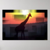 Giraffen Print Poster (Vorne)