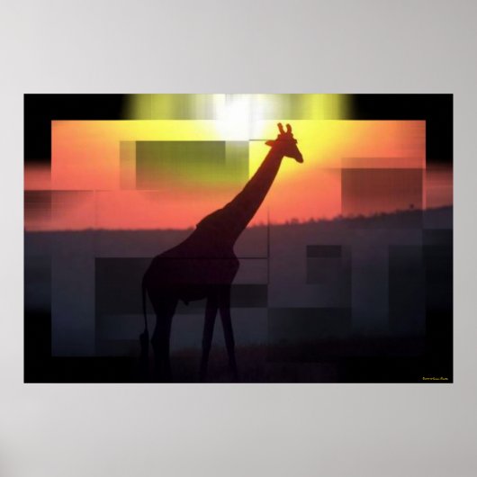 Giraffen Print Poster (Vorne)