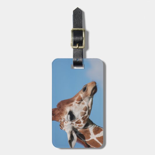 Giraffen-Profil-Gepäckanhänger Gepäckanhänger (Vorderseite vertikal)