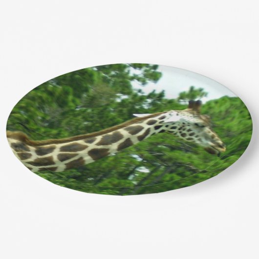 Giraffen-Profil-Papierplatten Pappteller (Schrägansicht)