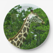 Giraffen-Profil-Papierplatten Pappteller (Vorderseite)