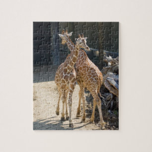 Giraffen Puzzle