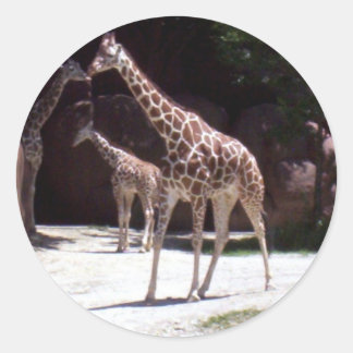Giraffen Runder Aufkleber