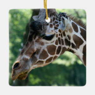 Giraffen-Schmuck Keramikornament
