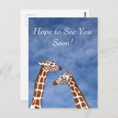 Giraffen sehen dich bald postkarte (Vorne/Hinten)