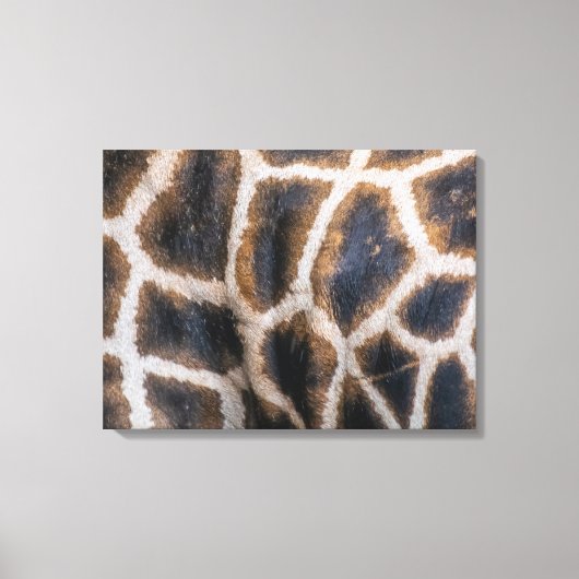 Giraffen-Skin-nahe Leinwand (Vorderseite)