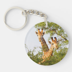 Giraffen spähen über die Vegetation Schlüsselanhänger