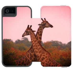 Giraffen, stehend in Mopanobäumen mit rosa Himmel Incipio Watson™ iPhone 5 Geldbörsen Hülle