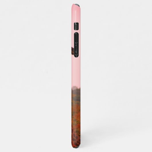 Giraffen, stehend in Mopanobäumen mit rosa Himmel iPhone Hülle (Linke Seite)