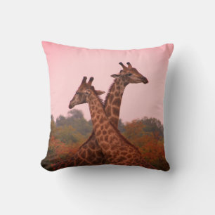Giraffen, stehend in Mopanobäumen mit rosa Himmel Kissen