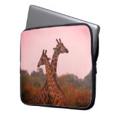 Giraffen, stehend in Mopanobäumen mit rosa Himmel Laptopschutzhülle (Vorderseite Links)
