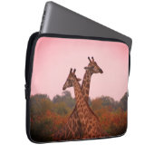 Giraffen, stehend in Mopanobäumen mit rosa Himmel Laptopschutzhülle (Vorne Rechts)