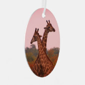 Giraffen, stehend in Mopanobäumen mit rosa Himmel Ornament Aus Metall (Vorderseite Rechts)