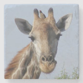 Giraffen-SteinUntersetzer Steinuntersetzer (Vorderseite)