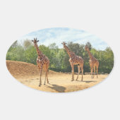 Giraffen Stickers (Vorderseite)