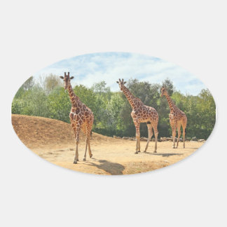 Giraffen Stickers