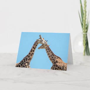 Giraffen Umarmen Personalisiert Karte